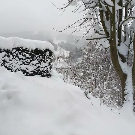 Kral * ألبيرتشيك في ييزريسكي هوراش