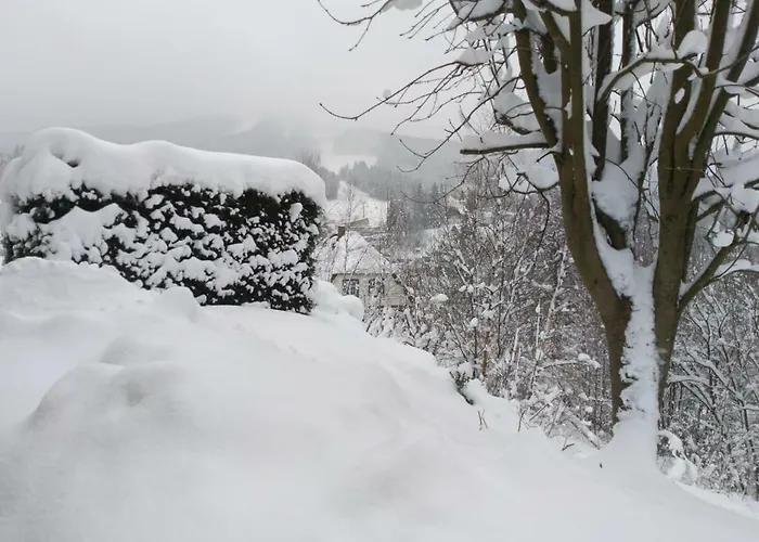 Kral * Albrechtice v Jizerských horách